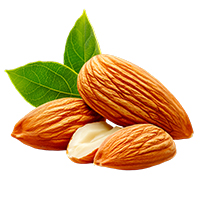 Vitamin E